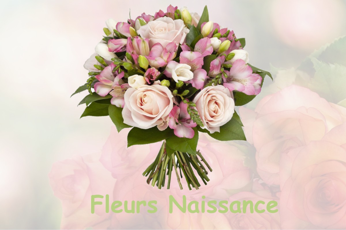 fleurs naissance SAINT-ROMANS