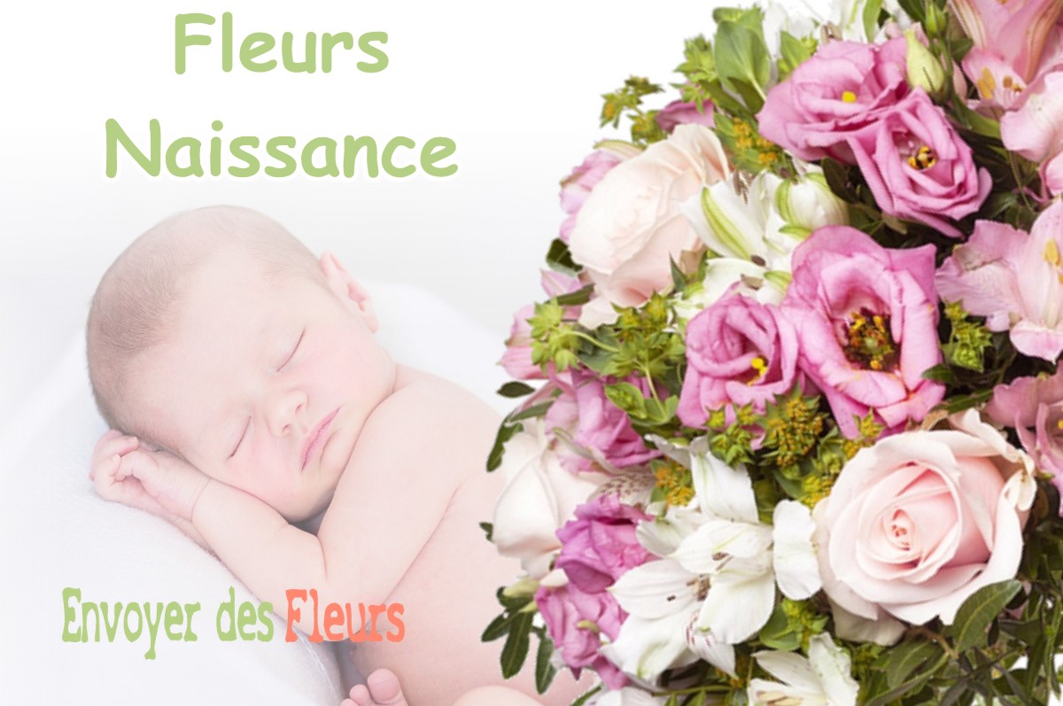 lIVRAISON FLEURS NAISSANCE à SAINT-ROMANS